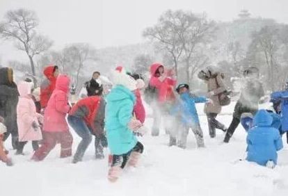 減少普通融雪劑的使用大力發展環保融雪劑