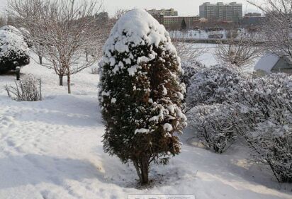 包頭化雪劑生產廠家搞好質量和終端設施服務項目是品牌建設的關緊